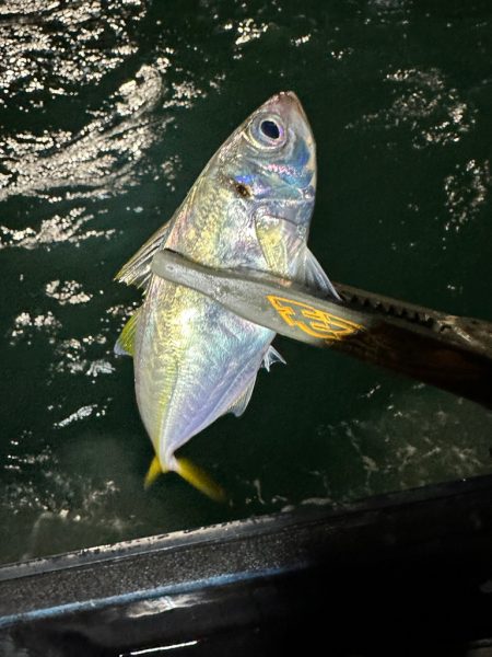 ボートアジング