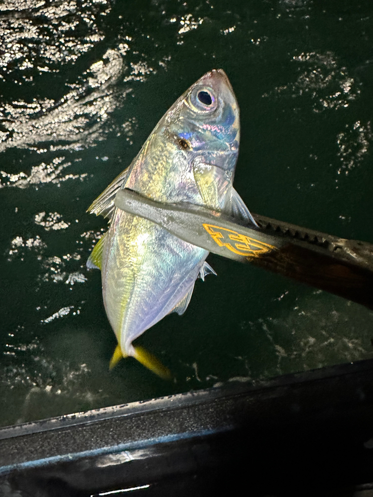 ボートアジング