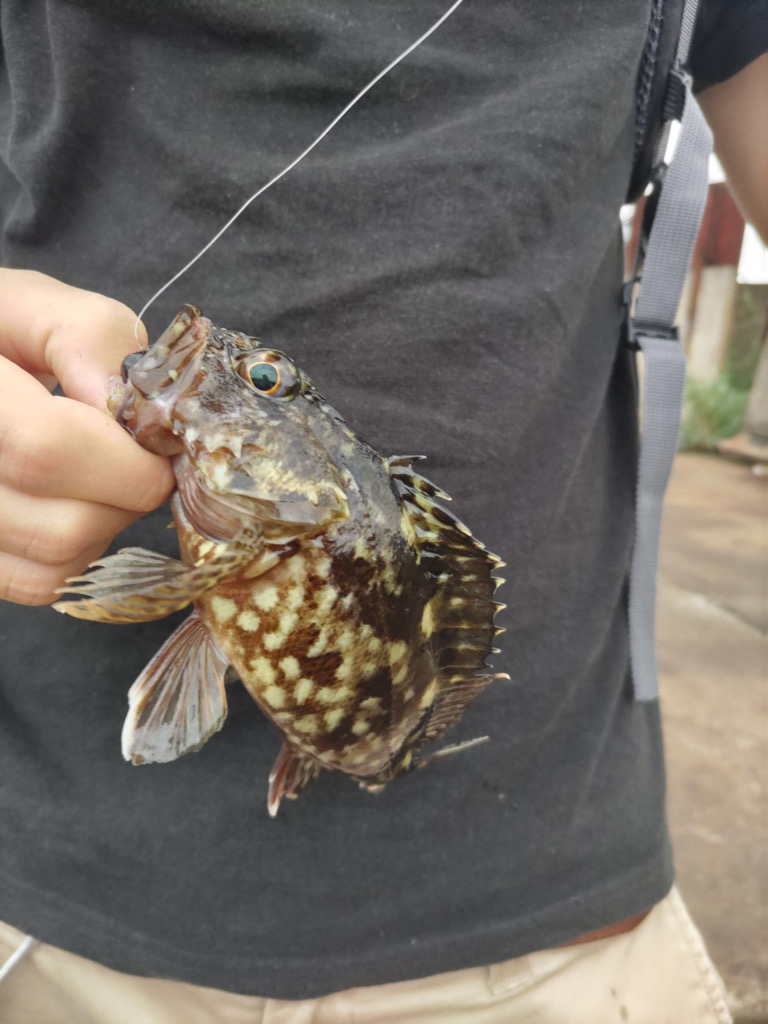 第三回雰囲気あります