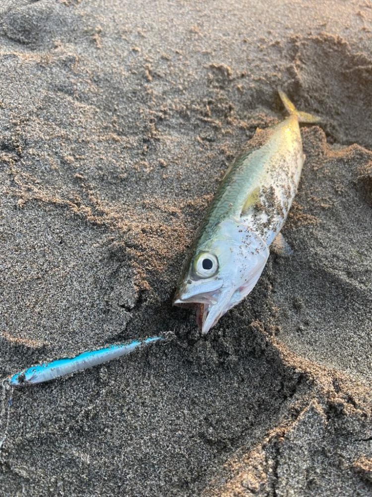 荒れる前は爆釣チャンス‼︎