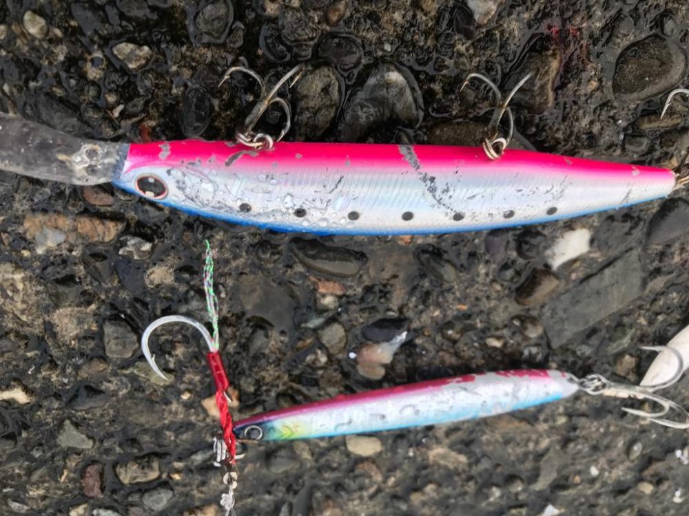 待望のタチウオ釣り