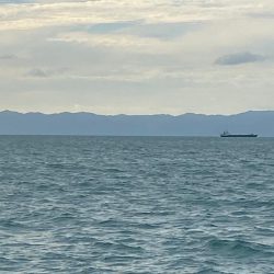 今季初タチウオ