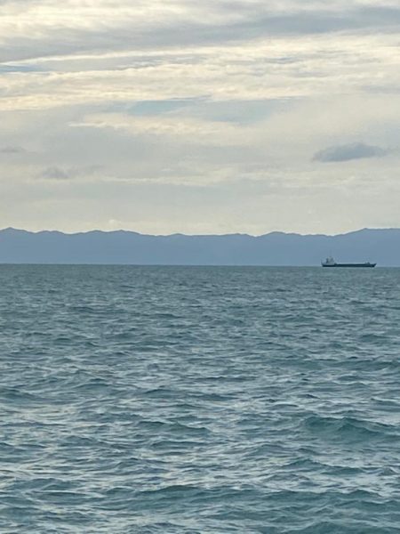 今季初タチウオ