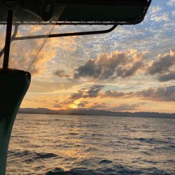 落とし込み&根魚五目