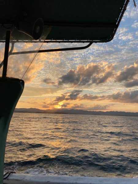 落とし込み&根魚五目