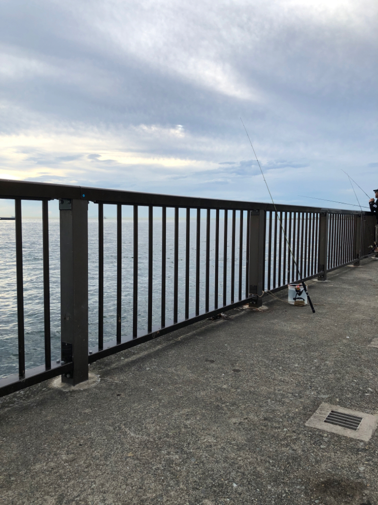 夏の終わりのシオは元気です!