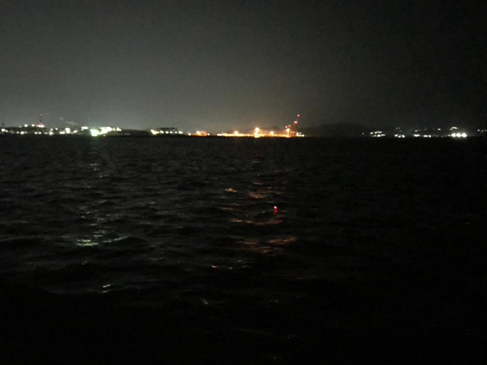 タチウオ数釣り