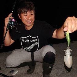 秋イカ初の紋甲登場！