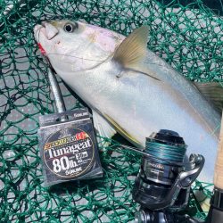 ヒラマサジギング