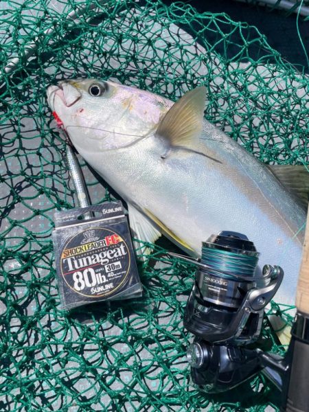 ヒラマサジギング