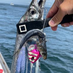 太刀魚テンヤでデブゴン連発！