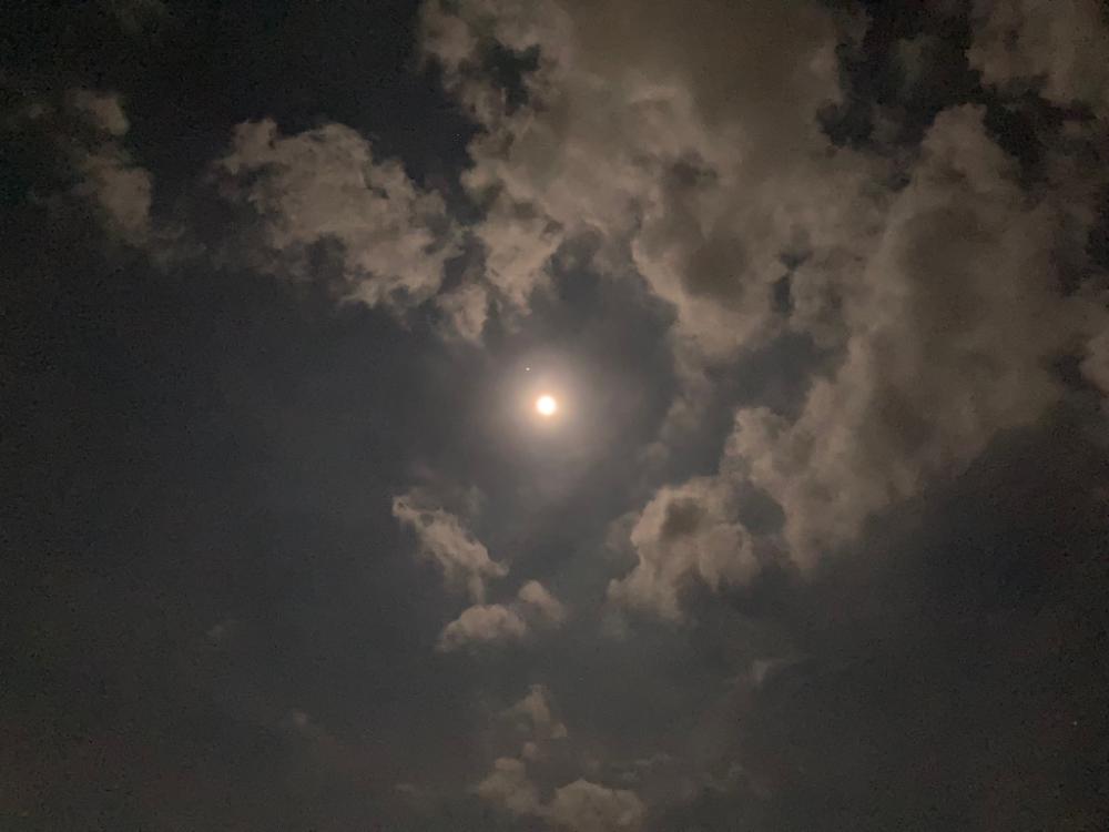 神明エギングその1