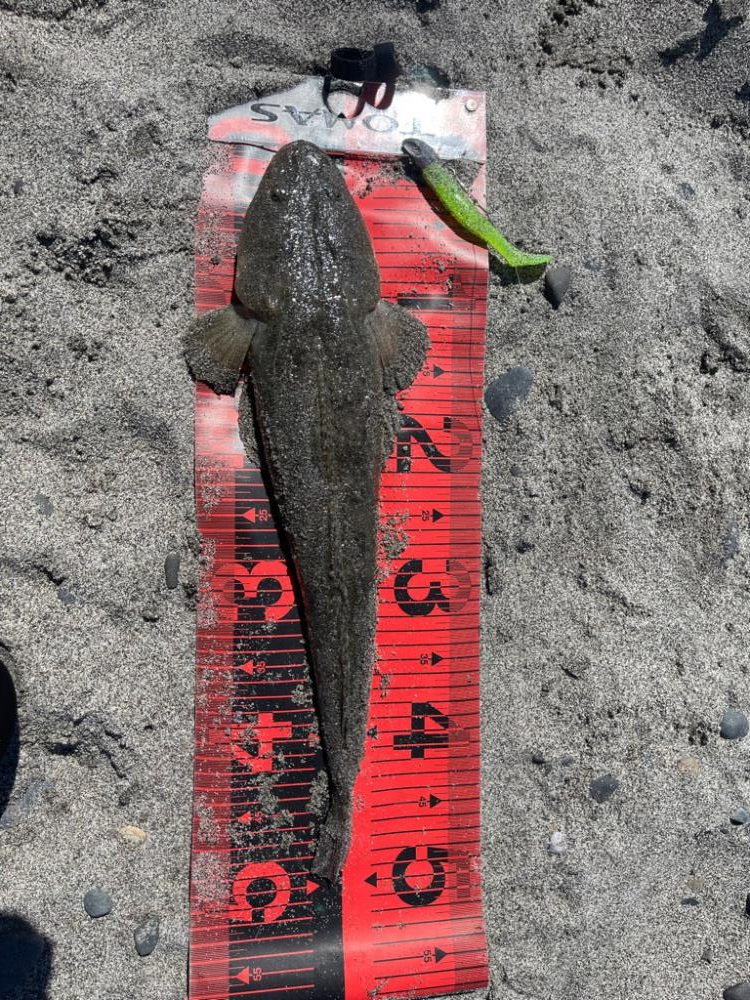 激渋のなかなんとか一本出せました😂