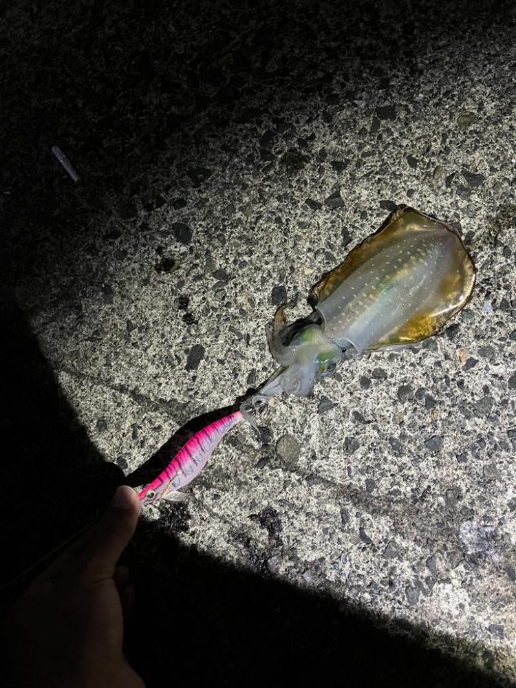 台風前の秋の気配