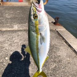 まだまだ暑いので要注意!