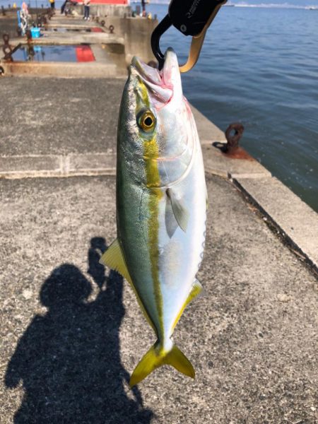 まだまだ暑いので要注意！