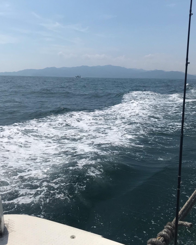 洲本沖のタチウオ