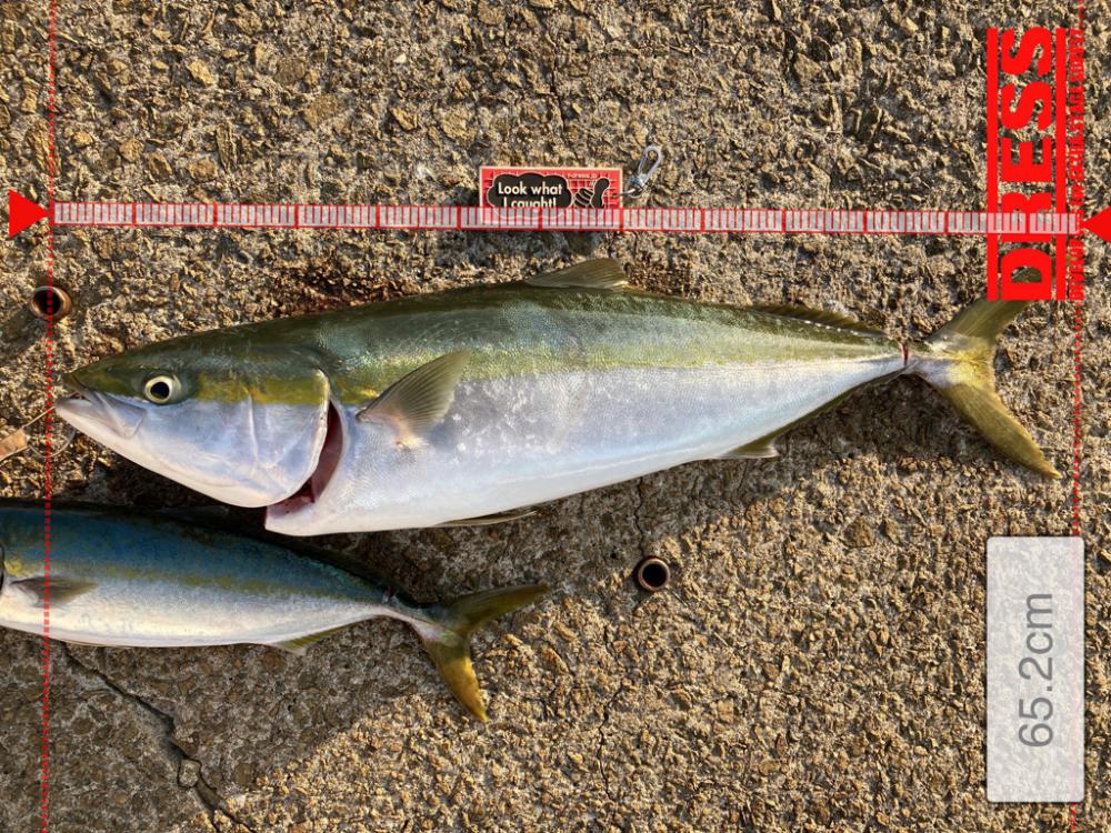 ⭐︎滑り込みセーフ