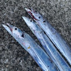 自分だけ渋い状況でした…