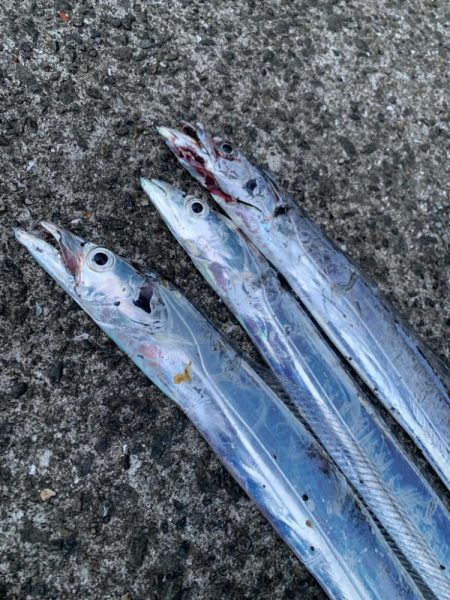 自分だけ渋い状況でした…