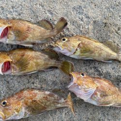 手軽なガシリング