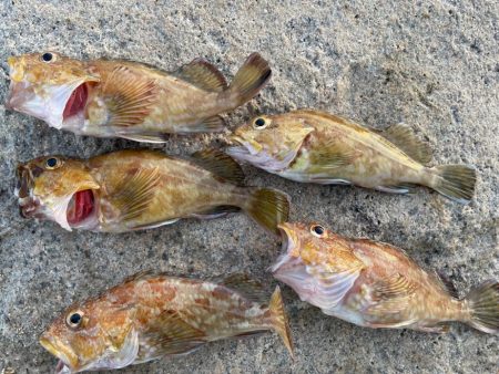 手軽なガシリング