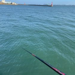 細ハリスのチヌ釣り❗️