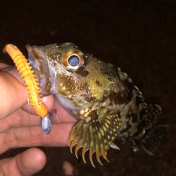 キワを攻めると…