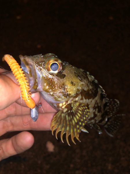 キワを攻めると…