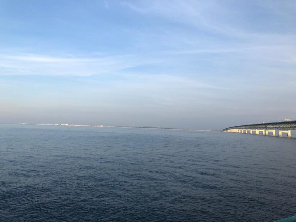 朝の短時間釣行