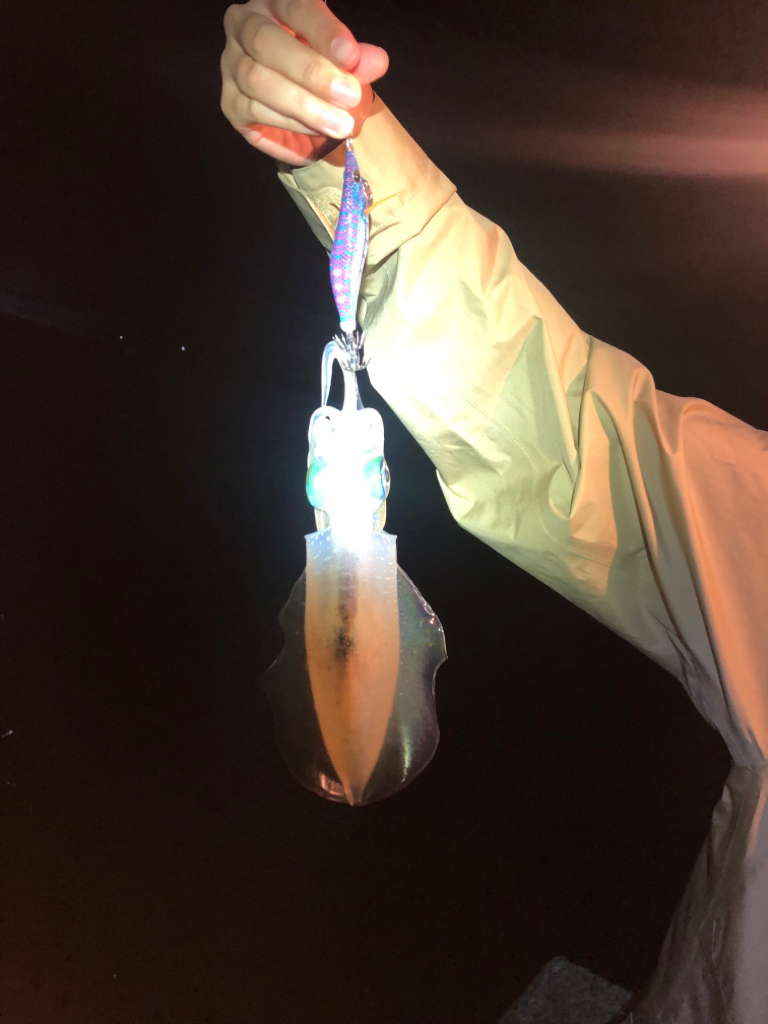 【秋イカ好調】京丹後〜伊根湾