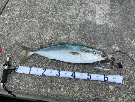 初メジロキャッチ！