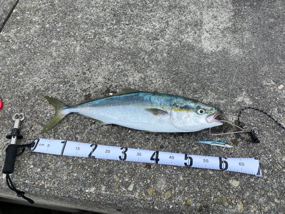 初メジロキャッチ！