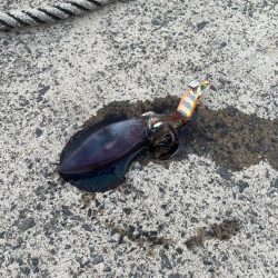 いつもの場所で