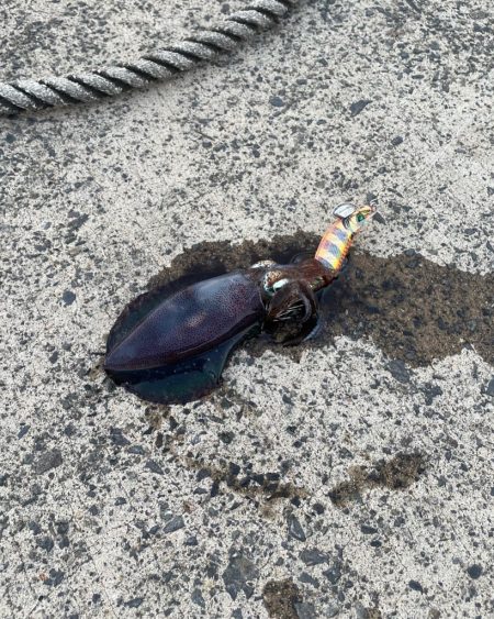 いつもの場所で