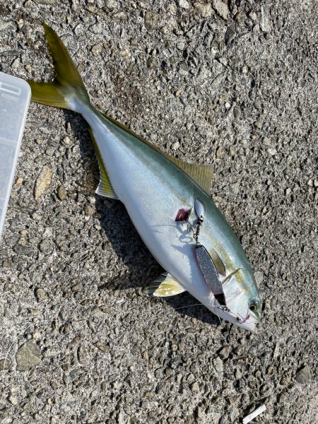 激戦区チャレンジ2