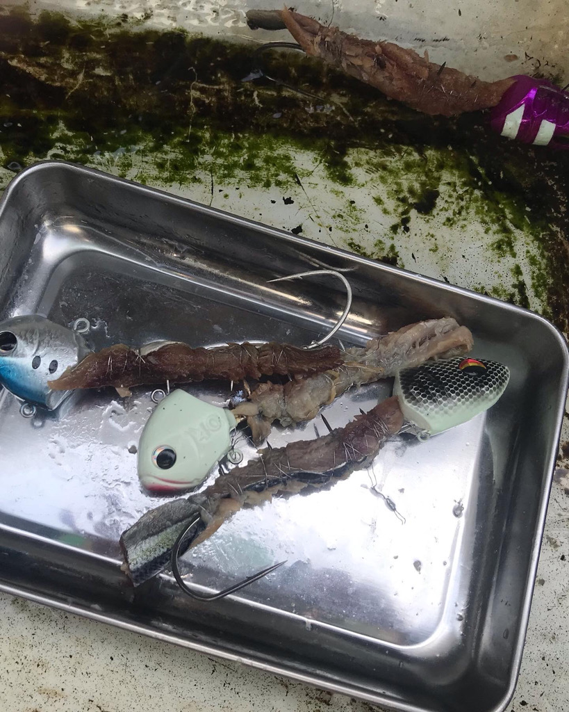 キングバトル予選