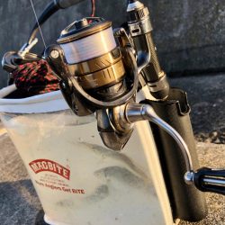 お久しアジング！