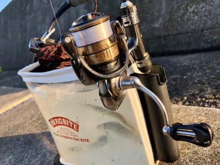 お久しアジング！