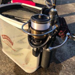 パクパク豆アジング