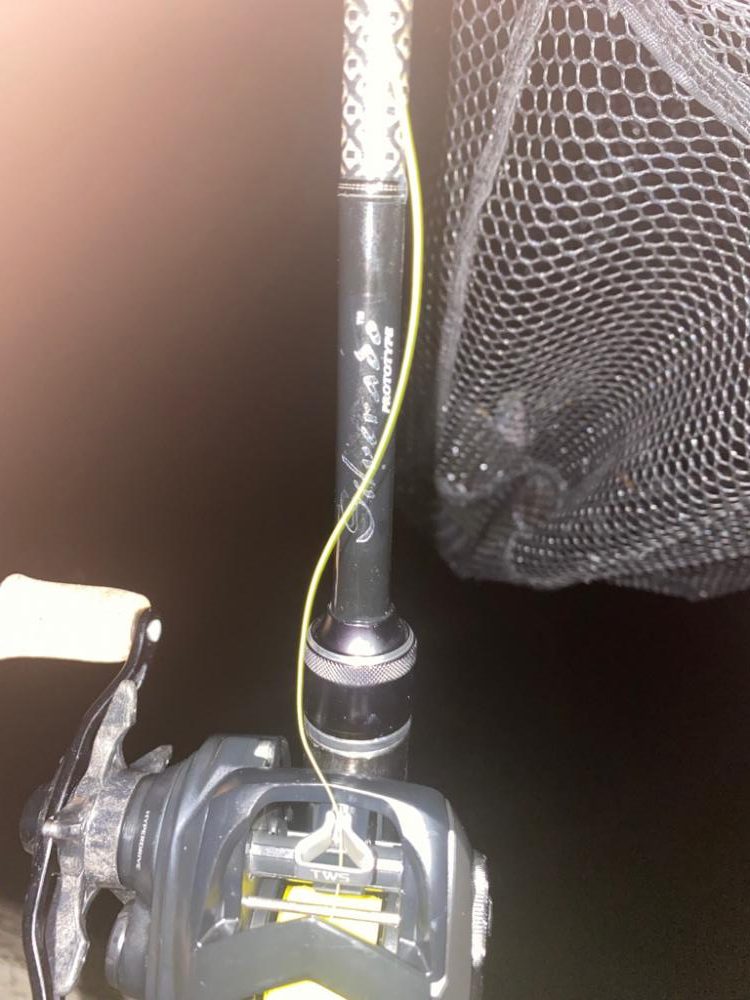 チニング アタリはありますが