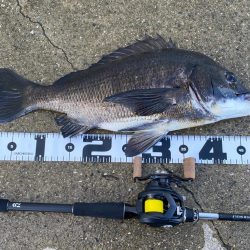 夏チニング 　終盤