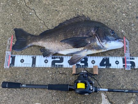 夏チニング 　終盤