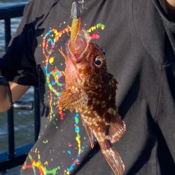 神戸空港ライトなデイゲーム！