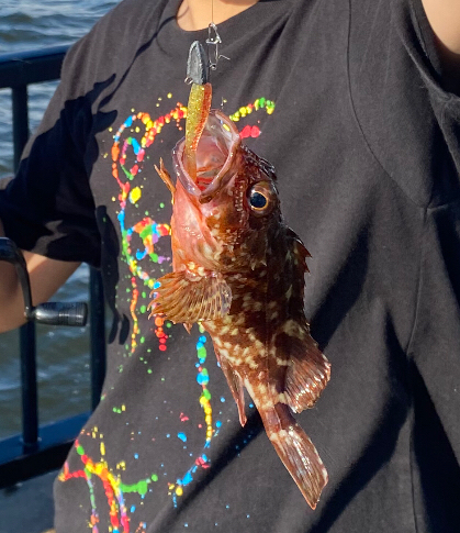 神戸空港ライトなデイゲーム！