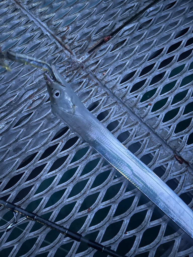 台風前のとっとパーク小島