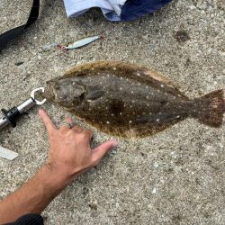 まさかの高級魚