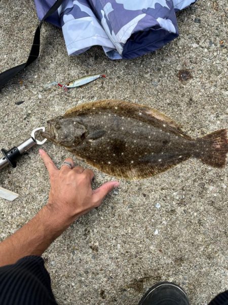 まさかの高級魚