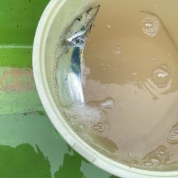 タチウオ（五目？）ジギング？？