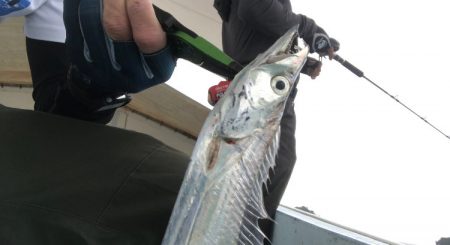 ジグパラでタチジギ！激シブでも釣れる！